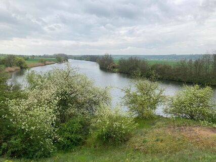 Am Saaleradweg