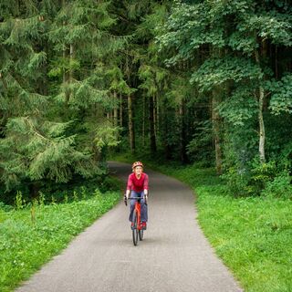 Durch den Wald und durch offene Wiesenlandschaft, immer der Nagold folgend