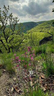 Fotografia z Aga M na trase