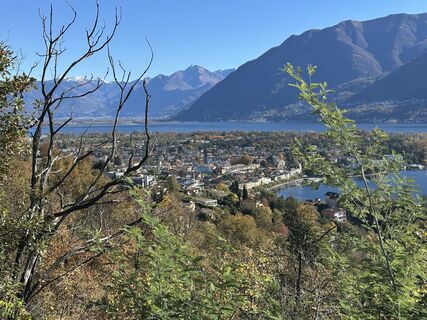Foto de Theresarnold a lo largo del recorrido