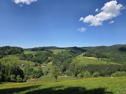 Foto da Noreen (NoKe) lungo il tour
