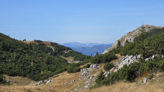 Fotografija s spletne strani EP87 na poti