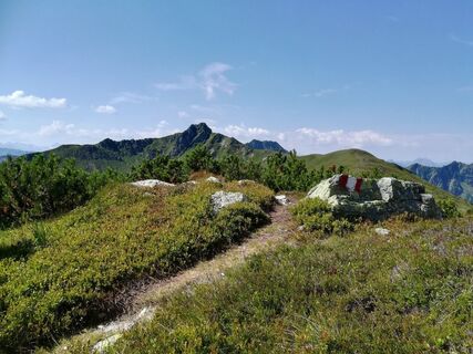 2018 Fieberbrunner Höhenweg © Petra Astner (7).jpg