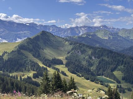 Foto von R Blanke entlang der Tour