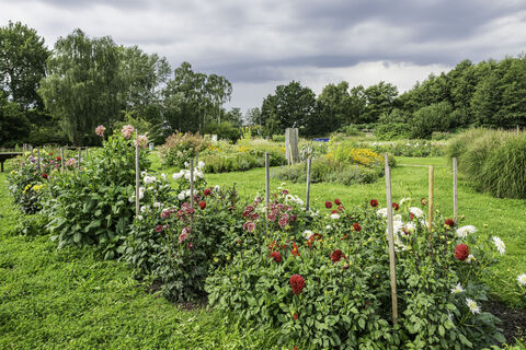 Blütenpracht in den Luhegärten in Winsen