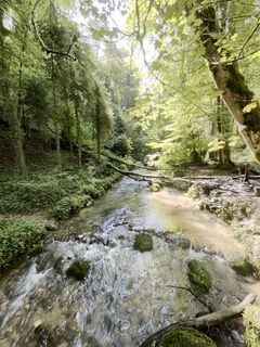 Photo de GabrielSR76 le long du parcours