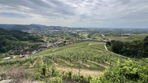 Fotografija s spletne strani Volki F. na poti