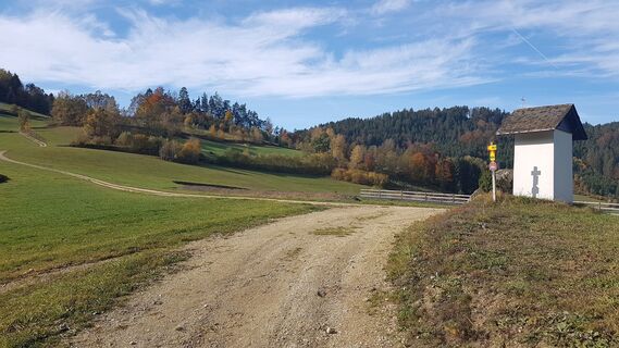 Gerade weiter bei Kapelle in Salchenedt