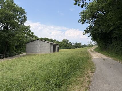 Photo de Schaali le long du parcours