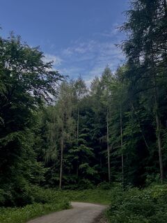 Fotografija s spletne strani Georg B. Meier na poti