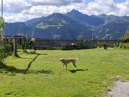 Photo de Filou und Luna le long du parcours