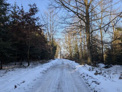 Foto von Stefan Bock entlang der Tour