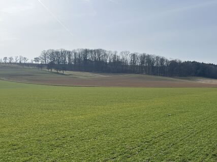 Fotografija s spletne strani Alfred Weber na poti