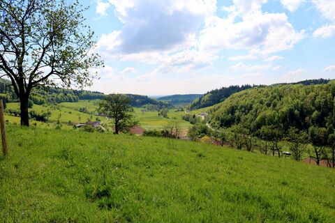 Aussicht in Richtung Freiamt, Ortsteil Keppenbach