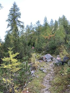 Photo de Dirk Steinert le long du parcours