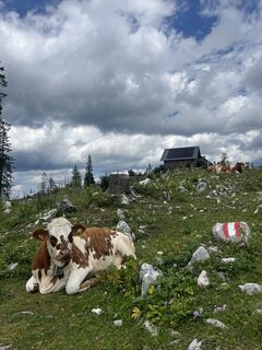 Foto von Bettina Steiner 2 entlang der Tour