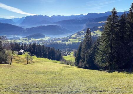 Aussicht auf Schwarzenberg und in den Hinterbregenzerwald
