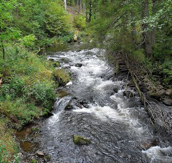 Haslachschlucht