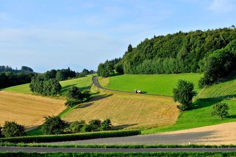 Felder- und Wiesenlandschaft bei Benking