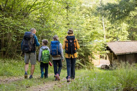 Trekking Schwarzwald