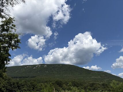 Fotografija s spletne strani Máté Ádám Schultheisz na poti