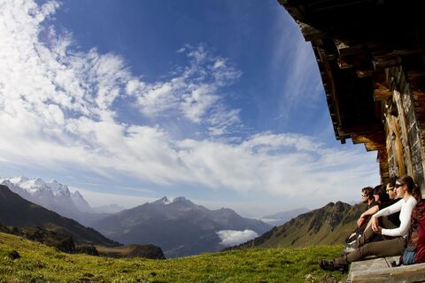 Gute Aussichten!