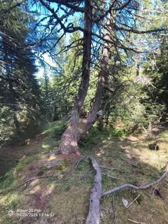 Foto von Peter Springer 1 entlang der Tour