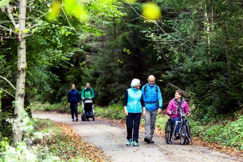 Komfort-Wanderweg 2 - Vom Langen Kirschbaum bis zum Weißen Stein