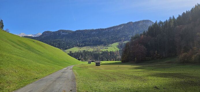 Photo de Berni_S le long du parcours