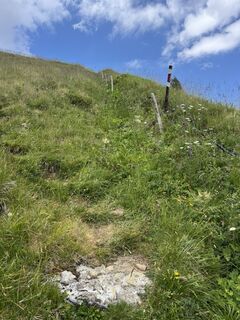 Foto von Andrea Omlin entlang der Tour