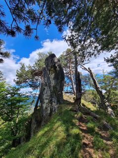 Photo de Hans Reiter 2 le long du parcours