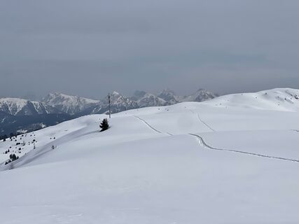 Foto von Marina I entlang der Tour