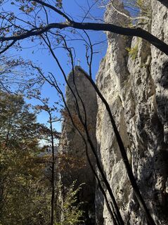 Photo de brosensteiner le long du parcours