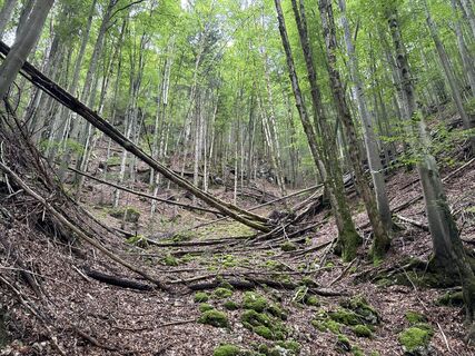 Photo from Grizzli along the tour