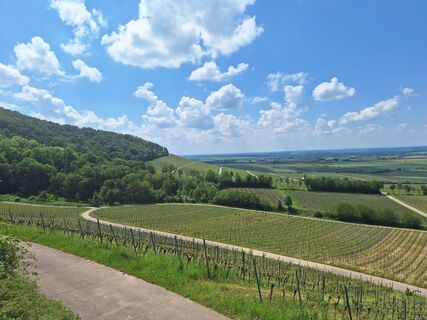 Foto von Bine entlang der Tour