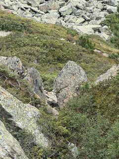 Photo de Sbrandt15 le long du parcours