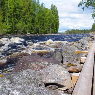 Lentuankoski, Kuhmo