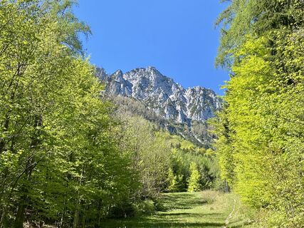 Foto von Silke Böttger entlang der Tour