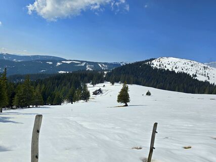 Photo de MRDL le long du parcours
