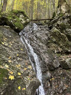 Photo de Stephan Gerstmeier le long du parcours