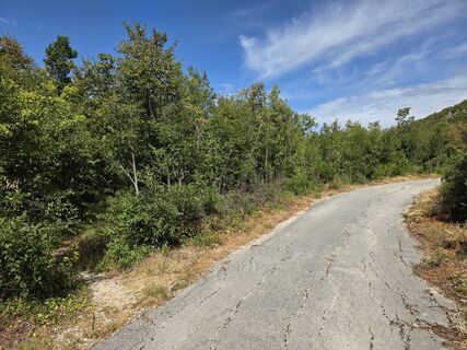 Foto fra Franz Schreiber underveis på turen
