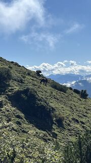 Foto von Ralf Mähr entlang der Tour