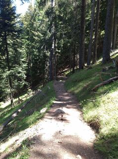 Photo de Jens Zimmermann le long du parcours