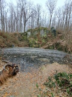 Foto von Schwartzhox entlang der Tour