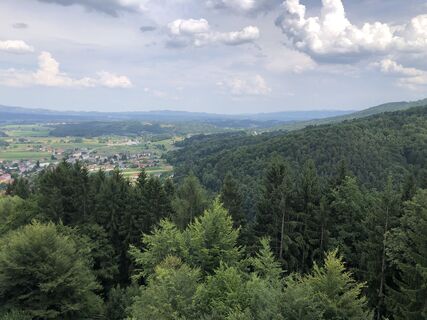 Fotografia z Peter Bolliger na trase