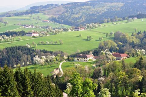 Blick auf Bartl und Dachmeister