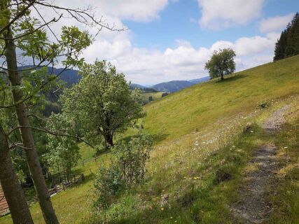 Aussicht beim Eder-Bauern_Naturpark Almenland_Oststeiermark