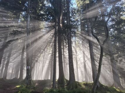 Foto von Maurer Silvia entlang der Tour