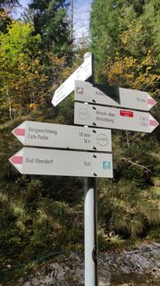Photo de Gerhard Niebling le long du parcours