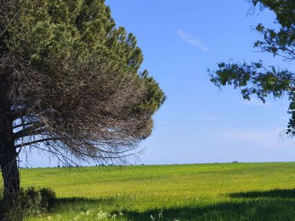 Photo de Stefano Fabi le long du parcours